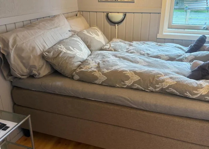 Very Centrally Located With Free Parking Apartamento